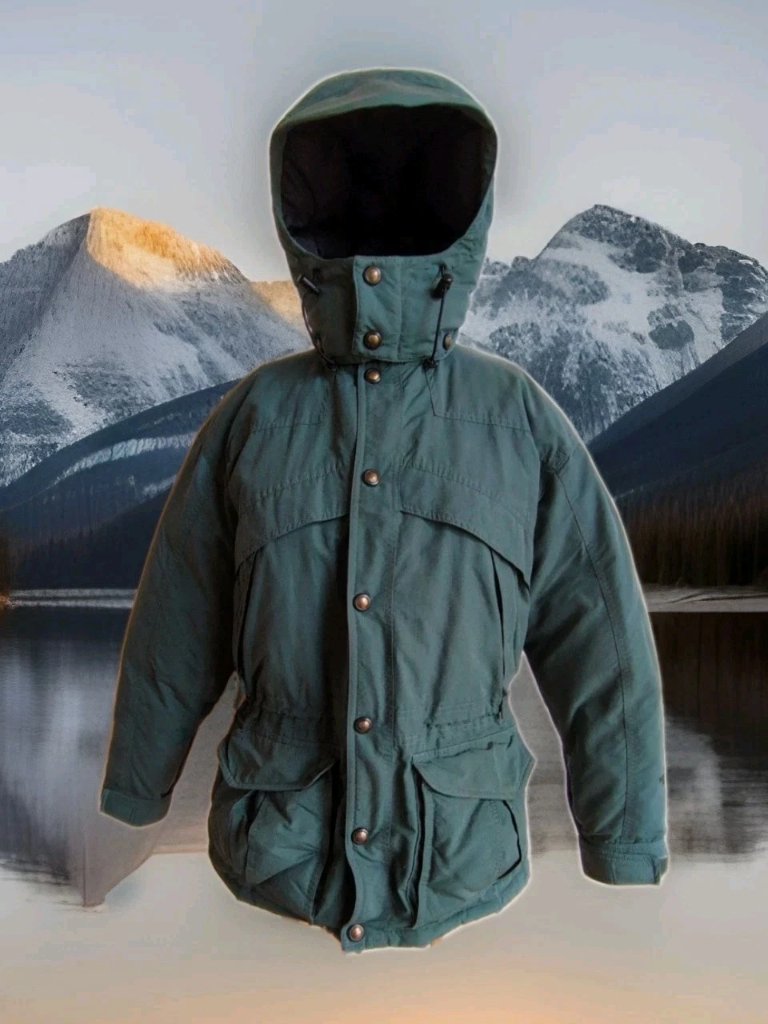 Women's Small - The North Face Goose Down Green Puffer Parka Warm Jacket